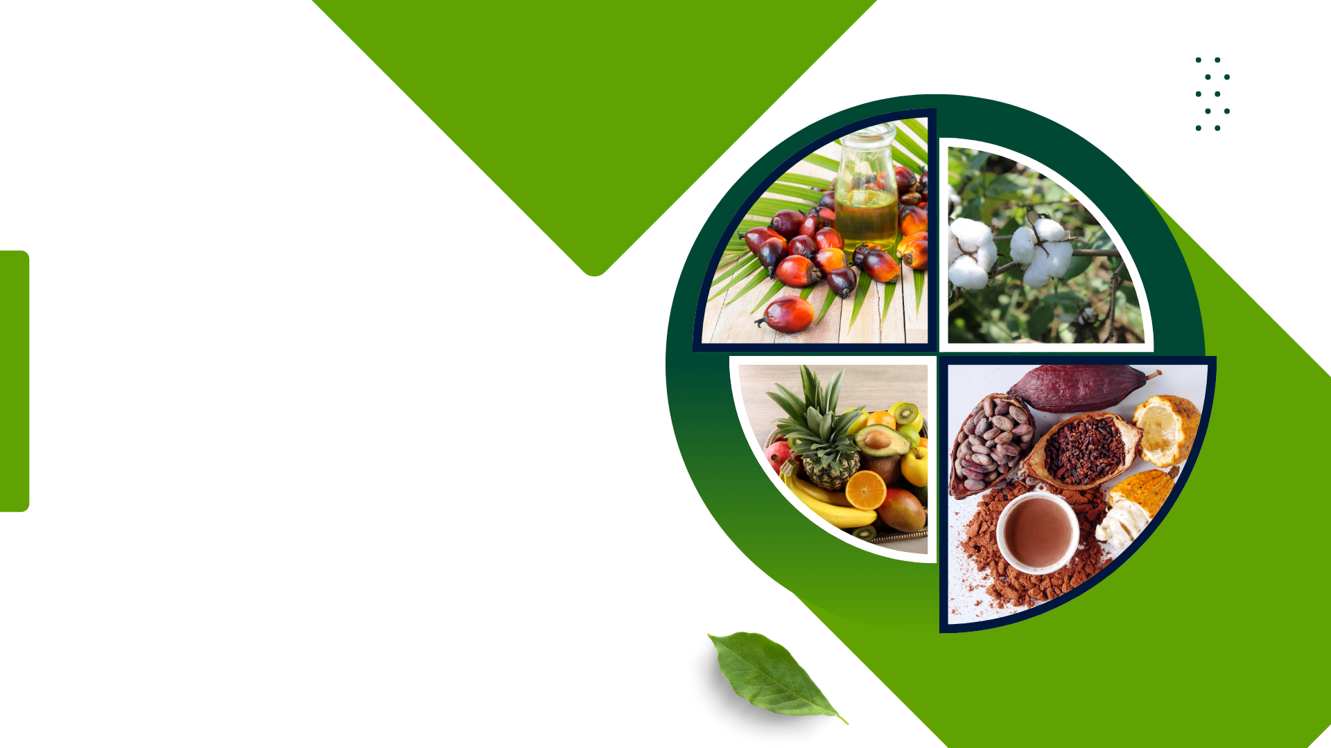 Immaculée Industries SA